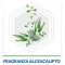 Max - Insecticide Cockroaches and Ants Eucalyptus Aroma 400 ml