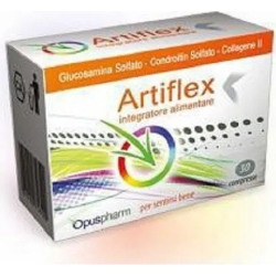 Artiflex Supplement for joint flexibility - 30 tablets