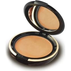 Master Compact Foundation SPF10 n. 02