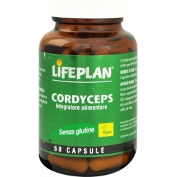 cordyceps - general wellbeing supplement 60 capsules