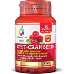 cranberry - Urinary tract health supplement 60 tablets