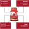 cranberry - Urinary tract health supplement 60 tablets