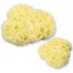 Natural sponge N. 2 Medium size