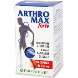 Arthromax Forte Dietary supplement for joints - 90 Capsules