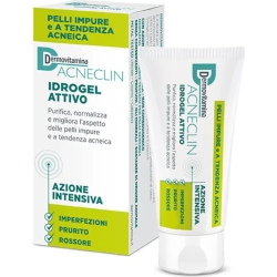 Dermovitamina Acneclil idrogel intensive action 40 ml