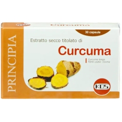 Curcuma - antioxidant Supplement 30 Tablets
