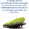 Colours of Life Vitamina D3 Veg Supplemenet 60 Capsules