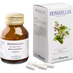 Boswellia Monoconcentrated - Food Supplement 50 capsules