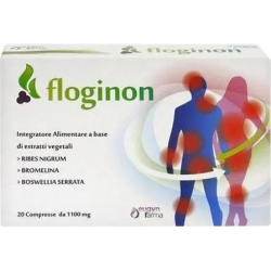 Floginon inflammatory states Food supplement - 20 Tablets