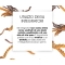 Cordyceps immune system health supplement 60 capsules
