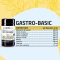 Gastro Basic Acid - supplement for acid reflux 60 tablets