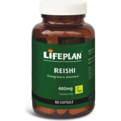 Reishi - Immune Support Supplement 60 Capsules