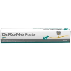 Direne Paste 15 ml - complementary food for dogs and cats