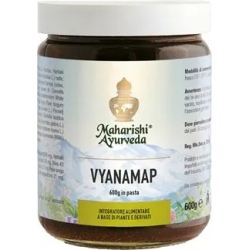 Vyanamap - Brain Health Supplement 600 g