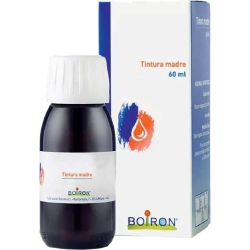 Betula alba - birch mother tincture 60 ml