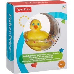Little Goose in the Yellow pond 3m+
