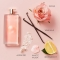 Idole - Eau de Parfum woman 50 ml vapo