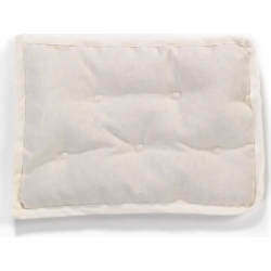 Pillow in Spelled Pula for Pram