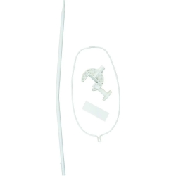 Canopy Auction