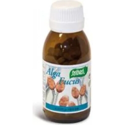 Alga Fucus - Thyroid Support Supplement 113 Tablets