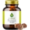 Boswellia - Natural Pain Relief Supplement 100 Capsules