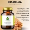 Boswellia - Natural Pain Relief Supplement 100 Capsules
