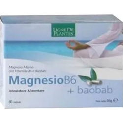 Magnesium B6 + Baobab - Supplement 60 Capsules