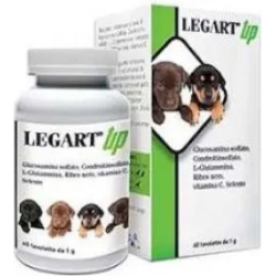 Legart Up - supplement for the joints 60 Tablets