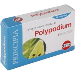 Polipodium Extract Dry  - antioxidant supplement 60 tablets