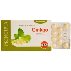 ginkgo biloba dry extract - blood & circulation supplement 60 tablets