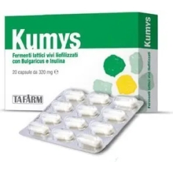 kumys - probiotic supplement 20 capsules