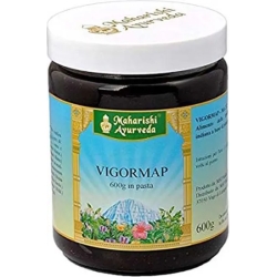 vigormap pasta - tonic supplement 600 g