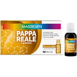 Massigen Pappa Reale - energy boost supplement 10x25ml vials