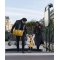Champs-Elysees - Stock Exchange Change Jaune Safran