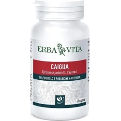 caigua 60 capsules - cholesterol supplement