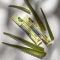 Aloe Vera + Forte - Digestive Aids Supplement 24 Pocket Drink