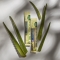 Aloe Vera + Forte - Digestive Aids Supplement 24 Pocket Drink