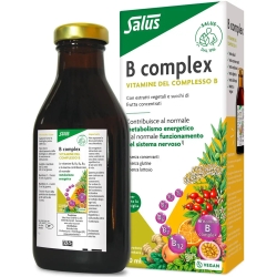 B Complex - Energy Supplement 250 ml