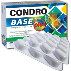condrobase plus - joint health supplement