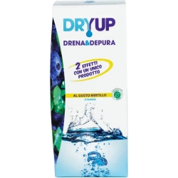 Dryup - Detox and Body Cleanse Supplement 300 ml blueberry taste