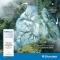 Fluistar - Lung Health Supplement bottle of 200 ml