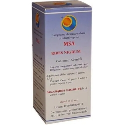 Ribes Nigrum M.S.A. - pain relief supplement 50 ml