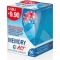 memory act - cognitive function supplement 50 tablets