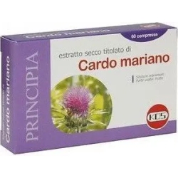 Cardo Mariano Estratto secco - Detox and Body Cleanse Supplement 60 tablets