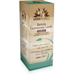 Fitoblasto Betulla Verrucosa Linfa 50 ml - draining supplement