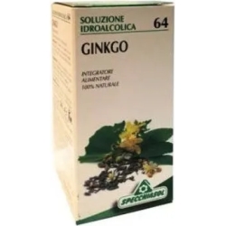Ginkgo 64 - Circulation and Blood Supplement 50 ml