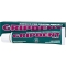 gripdent forte - dental adhesive 40 g