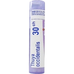 Thuya Occidentalis 30CH granules multidose - homeopathic remedy