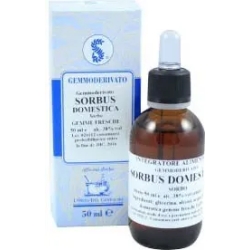 Sorbus Domestica - Circulation and Blood Supplement 60 ml