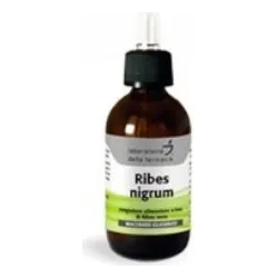 Blackcurrant - Lung Health Supplement bottle of 50 ml